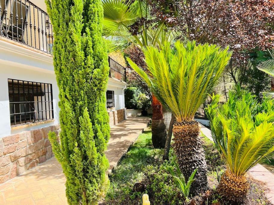 Villa Aljaral, Espectacular,Piscina,Chimenea, Climatizacion, Wifi Cordoba Ngoại thất bức ảnh